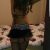 Avrupa yakası Otele Gelen Escort Pınar - Resim6 Avrupa yakası Otele Gelen Escort Pınar - Resim6